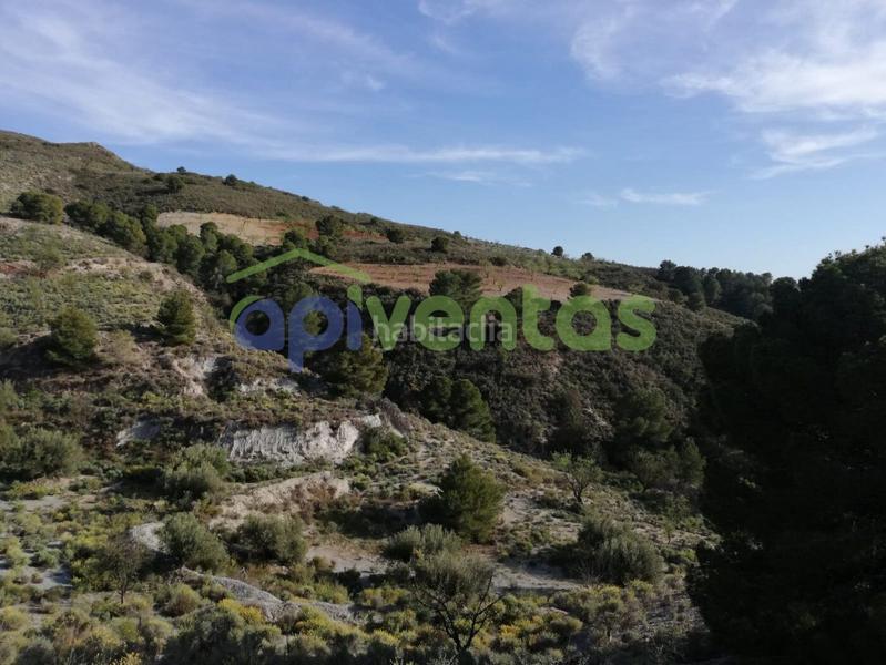 Foto cafcf3f5-d00b-4d70-8d8a-fd1a2e2881be. Bauernhof mit heizung parking in Carrasquilla Lorca