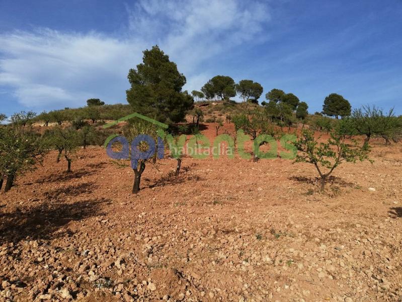 Foto d227ce1e-0b11-4c94-922d-e102ace00253. Bauernhof mit heizung parking in Carrasquilla Lorca