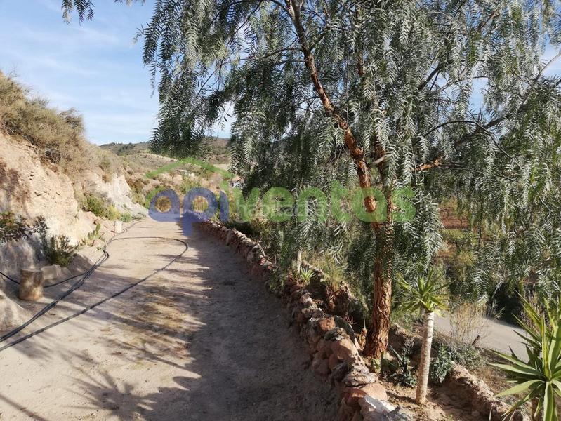 Foto e231d530-8a28-4301-961a-ae2c6442fb1d. Bauernhof mit heizung parking in Carrasquilla Lorca