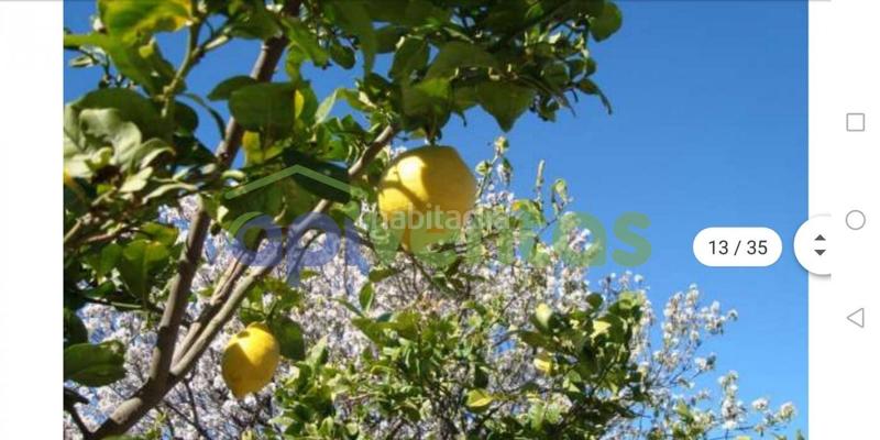 Foto 231eaa61-1add-437f-aa19-0b6babca3a3b. Chalet  espectacular con piscina en Águilas