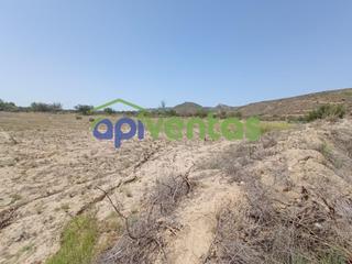 Finca rústica a Puerto Lumbreras. Terreno de regadío, cultivo. puerto lumbreras.