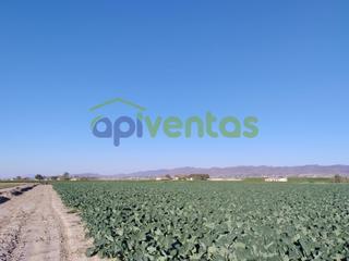 Propriété à Purias. Terreno de riego consolidado