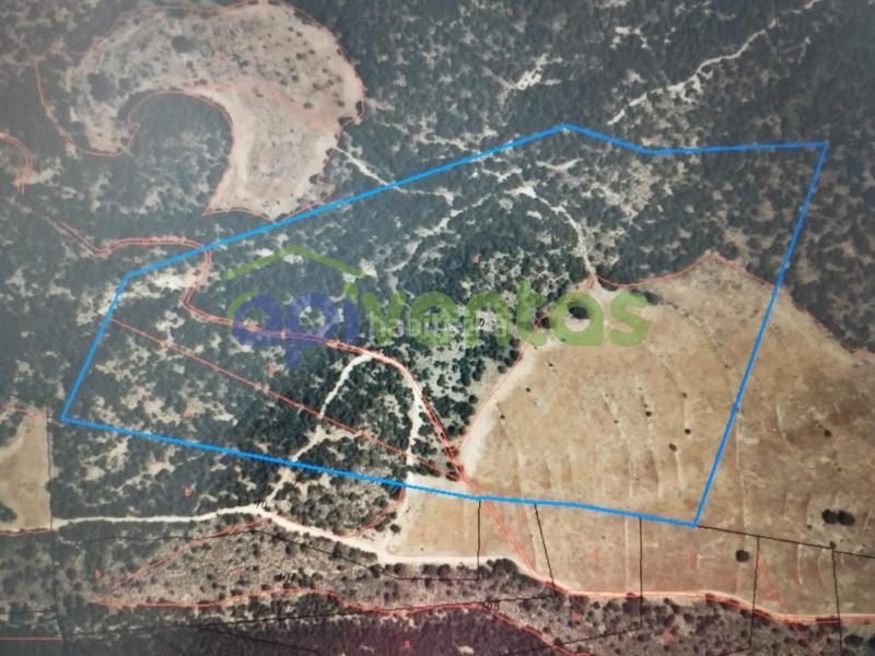 Foto 5cd212e1-3f21-4c38-b0a9-8242a3fa6062. Masia a Fontanares Lorca