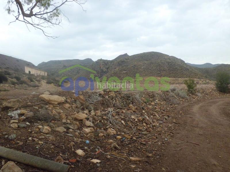 Foto 21fca807-1db1-4576-a530-cfe40f779c0b. Masia a Ramonete Lorca