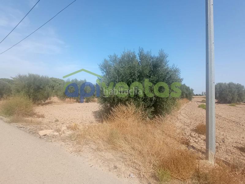 Foto a1206ce5-2d9b-43e2-813a-2d2f97df0c4f. Terreny residencial a Aguaderas Lorca