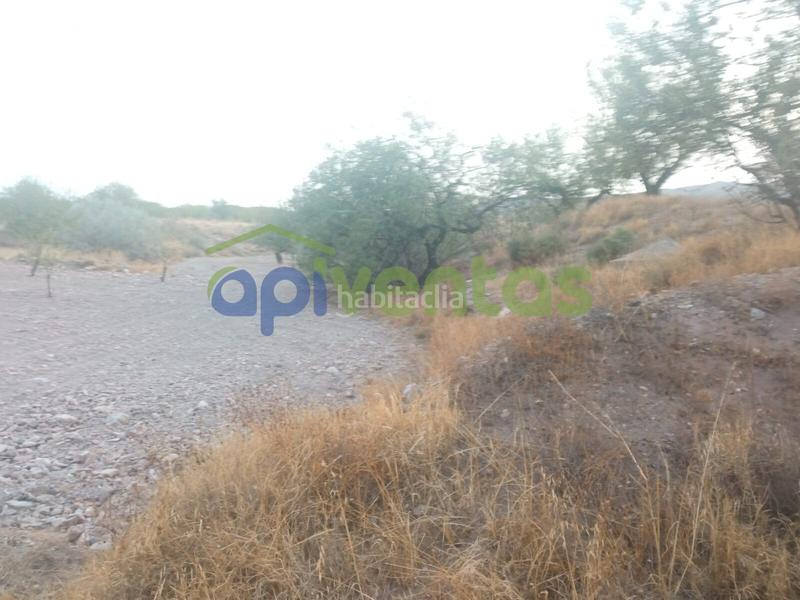 Foto 6797935d-4e28-4b7a-870b-e0ac7c55349a. Landgut in Huércal - Overa