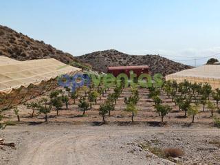 Finca rústica a Calabardina. 6 hec de terreno  con navealmacén , invernaderos y cabezal de ri
