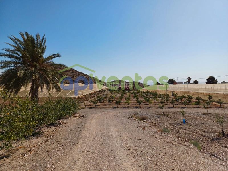 Foto 284671c3-3702-4db9-8709-a09be024d998. Finca rústica a Calabardina Águilas