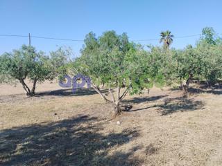 Finca rústica a Puerto Lumbreras. Terreno semivallado de regadío