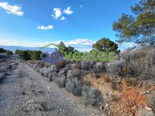 Terrain résidentiel à Puntarrón. Finca de monte de 46 héctareas.el puntarron