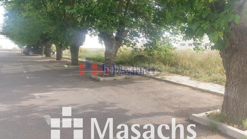 Foto 42dc5991-c013-4a56-8e66-2d5cc7012496. Fondo rustico in Los Molinos Getafe