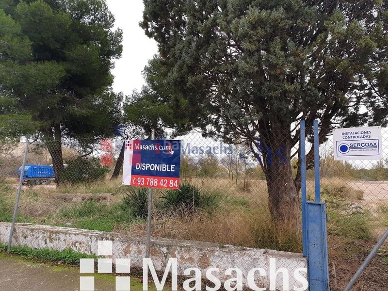 Foto ebf32c6f-6fe7-42f8-a873-8fc235c8f954. Finca rústica en Montserrat-Parque Empresarial San Fernando de Henares