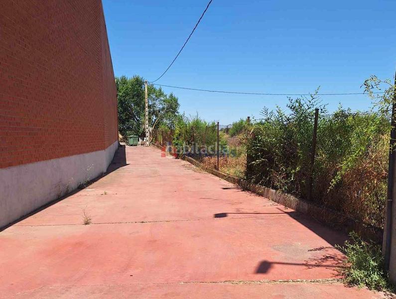 Foto 70698508-7a85-4607-a2ed-3376d5a0f07a. Fabrikhalle in Griñón