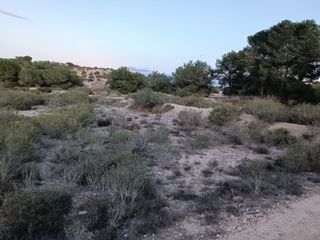 Fondo rustico in Partida la marina 85. Parcela rustica (junto sierra molar)
