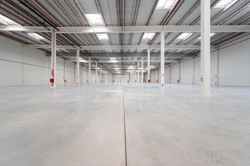 Foto 0cee0422-34c8-40d1-8532-cf1bf5e7cec6. Rent industrial building in carrer de l'argila 6593 in Esparreguera