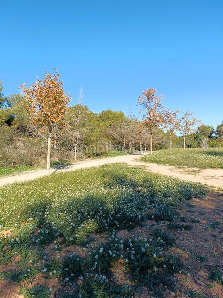 Foto f52c044a-6da3-4a72-bfe6-955a8bf22e78. Casa a schiera con riscaldamento parcheggio piscina in Vendrell (El)