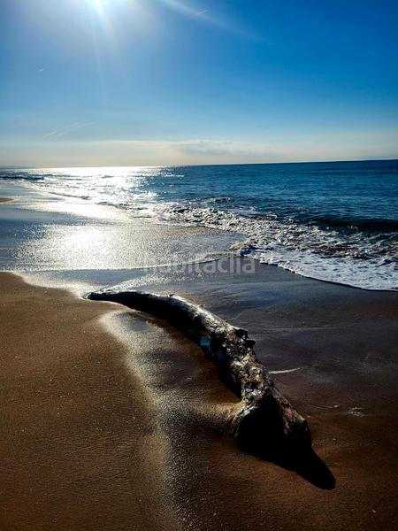 Foto 3e0af207-9f19-4ab8-9fd1-a543969dd433. Casa adossada a carrer de l'enxaneta david sánchez 6 a Torredembarra