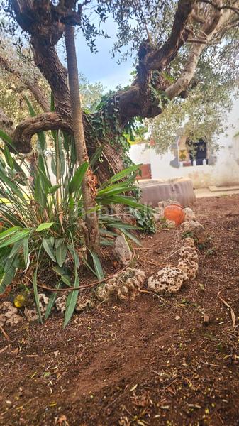 Foto 6bfb2ac2-993c-4f77-b5a1-8e288385de5c. Casa a schiera con camino in Pobla de Montornès (La)