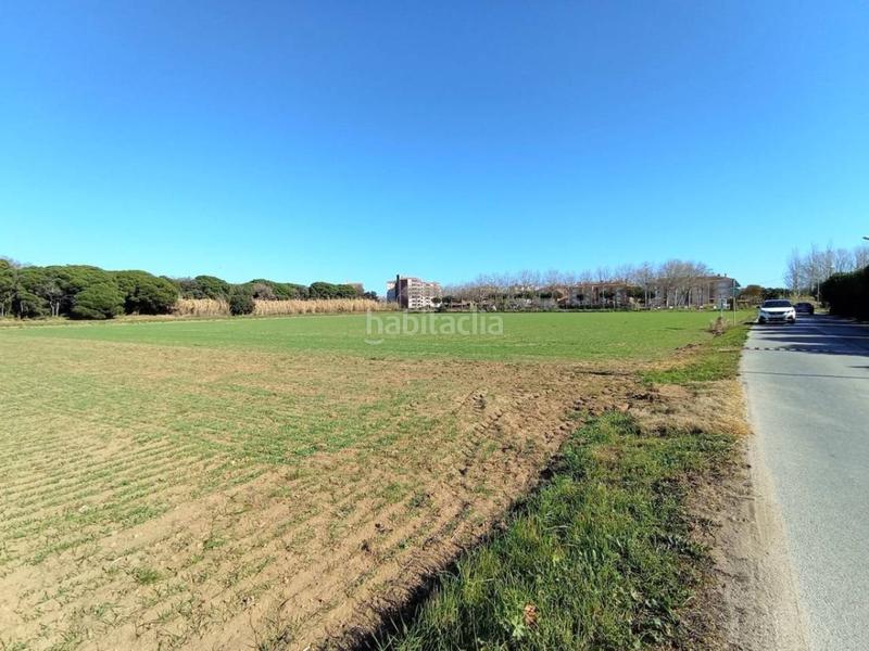 Foto 094790bf-6256-44df-9f39-c454f602de56. Fondo rustico in Fenals Platja d´Aro