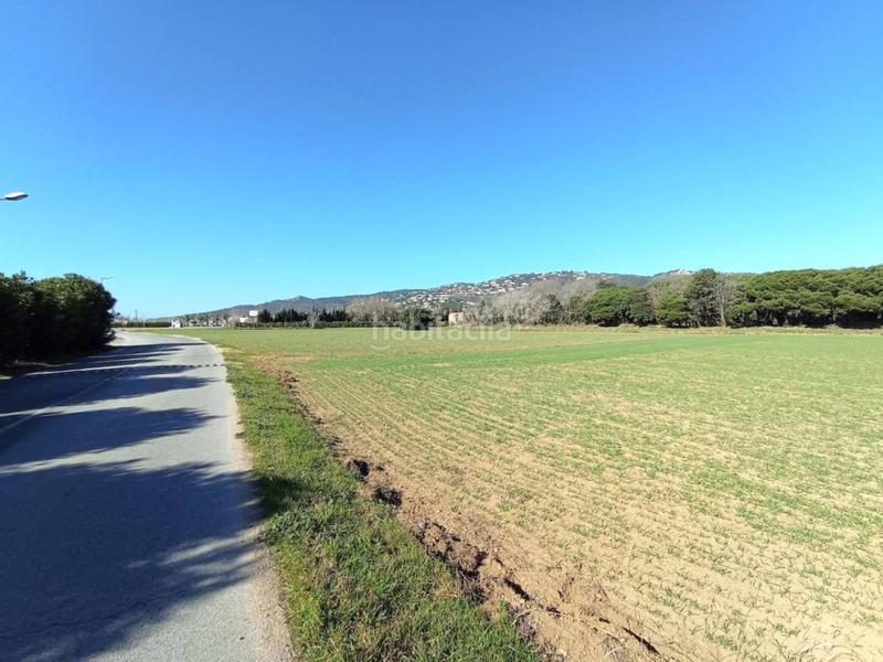 Foto 14a20dfc-f8aa-48d7-91df-f95538771727. Fondo rustico in Fenals Platja d´Aro