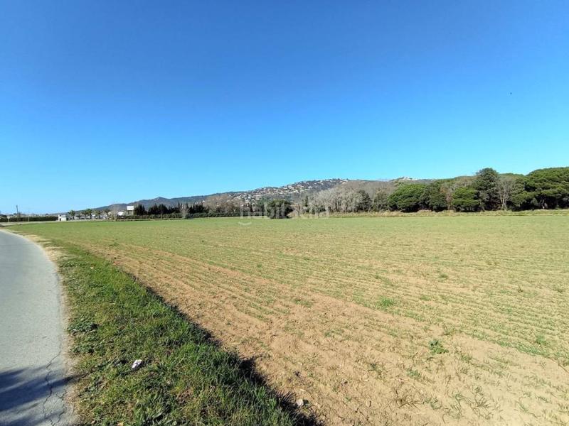 Foto 9b4cdfad-05af-4d06-9590-908d1abe210f. Fondo rustico in Fenals Platja d´Aro