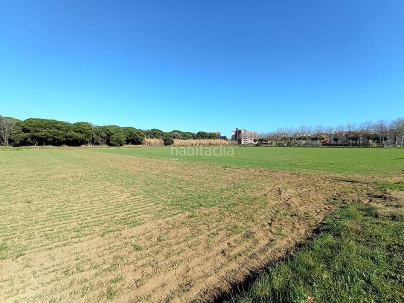 Foto b17ba3c2-6c4d-42d0-9a18-099644ea0c71. Fondo rustico in Fenals Platja d´Aro