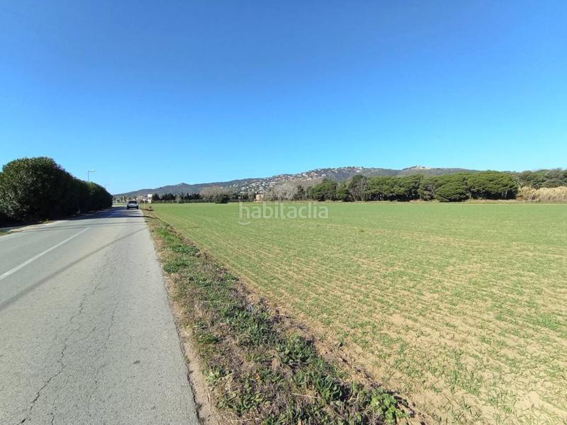 Foto eeae481d-c8fc-4d92-a43b-f2c6fa01e81a. Fondo rustico in Fenals Platja d´Aro