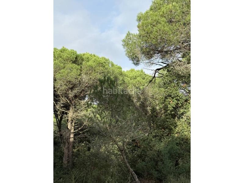 Foto 0c865309-191b-4aba-acaf-6f2ba600e9ba. Fondo rustico in Fenals Platja d´Aro