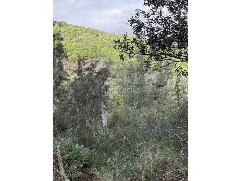 Foto 5fd0c3bd-e638-4bf9-9917-bb30e1ccbe5a. Fondo rustico in Fenals Platja d´Aro