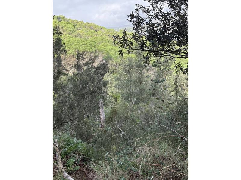 Foto 6f75641f-c80e-4648-80ab-3510c9787fc3. Fondo rustico in Fenals Platja d´Aro