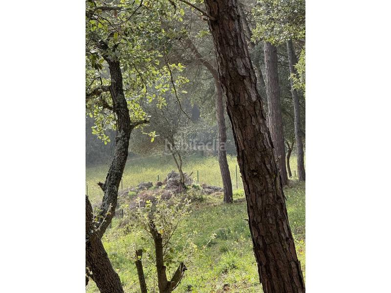 Foto 73006e0d-5d7e-44d5-8826-ff27d64b45d5. Fondo rustico in Fenals Platja d´Aro