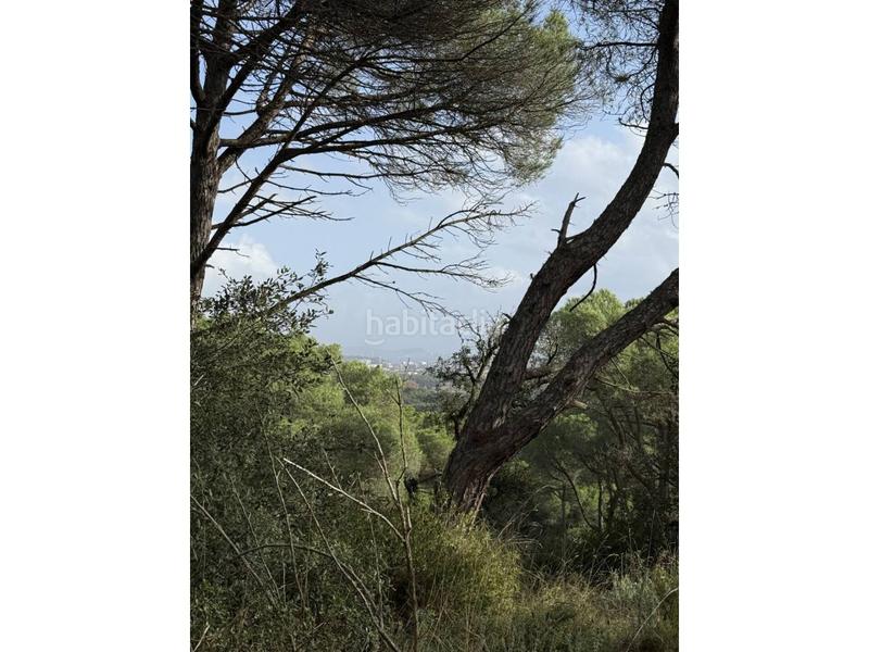 Foto 8536a5ad-54c4-49c6-a49c-2c48aa610983. Fondo rustico in Fenals Platja d´Aro