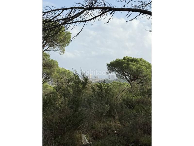 Foto b5fc2422-67d8-4e0f-a834-f02008bfc32e. Fondo rustico in Fenals Platja d´Aro