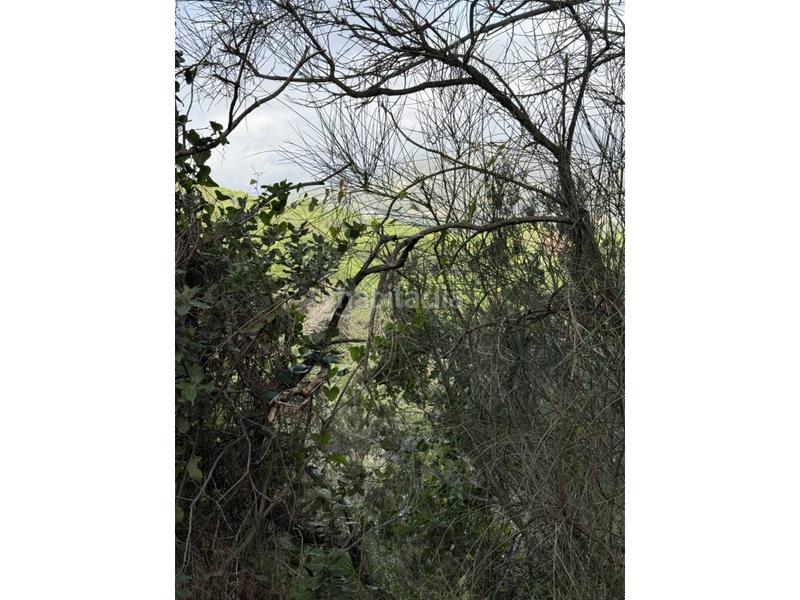 Foto b95ab62c-f027-40b1-81ff-28b3cb580349. Fondo rustico in Fenals Platja d´Aro