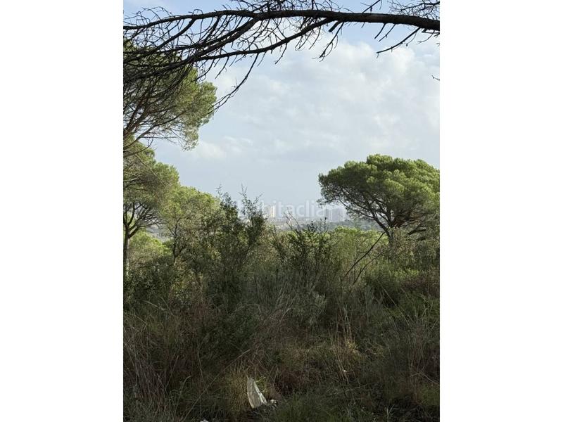 Foto f1a7af1e-299b-4c51-a55d-2035c142bc42. Fondo rustico in Fenals Platja d´Aro