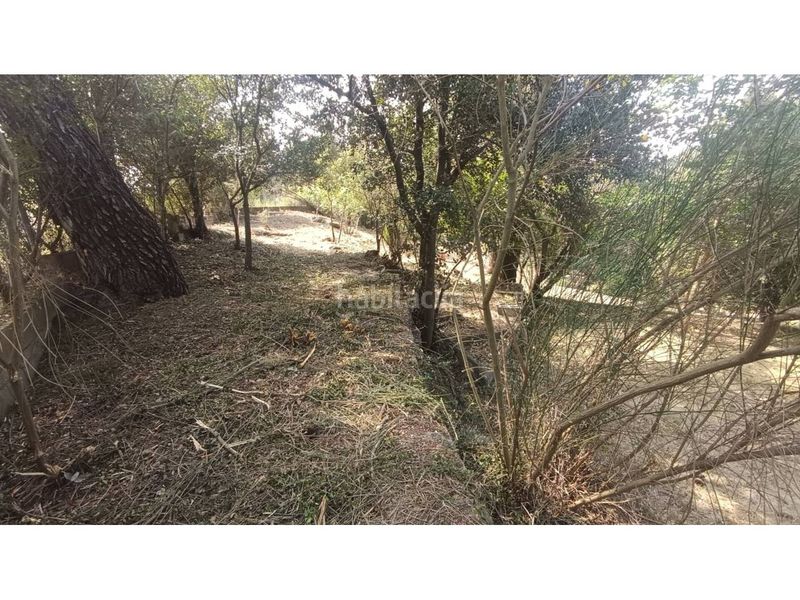 Foto 5364e65f-1c3d-499f-ac71-f3f8169bb746. Finca rústica a Vacarisses