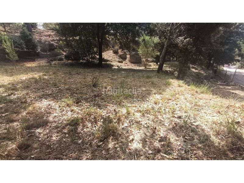 Foto cf22ce64-207c-4e9a-8f98-776cb55d83e3. Finca rústica a Vacarisses