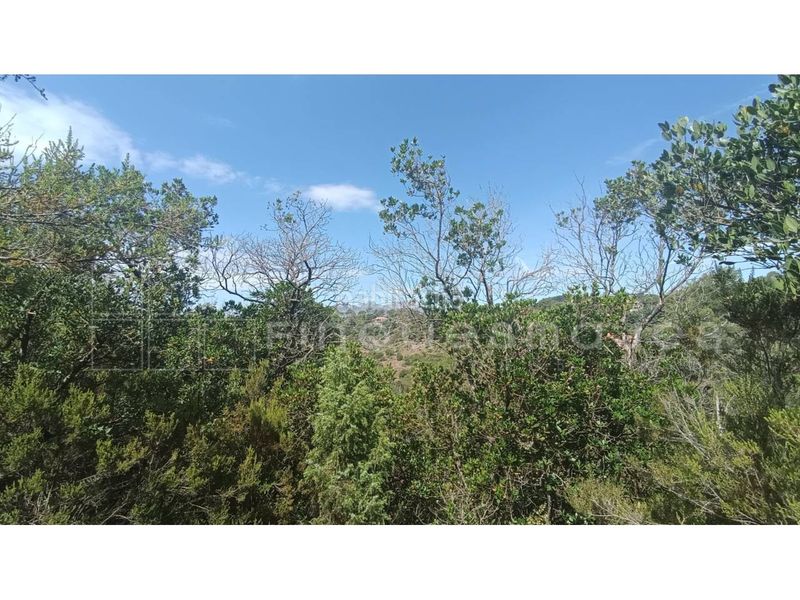 Foto 91122205-f31d-42c6-a61f-9acf533a7db5. Terreno residencial parcela edificable en els caus en Vacarisses