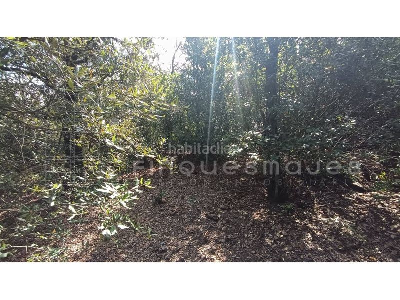 Foto 9486489a-db31-4015-99a4-7768fffa4705. Terreno residencial parcela edificable en els caus en Vacarisses