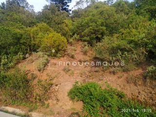 Terrain résidentiel à torrent del llor