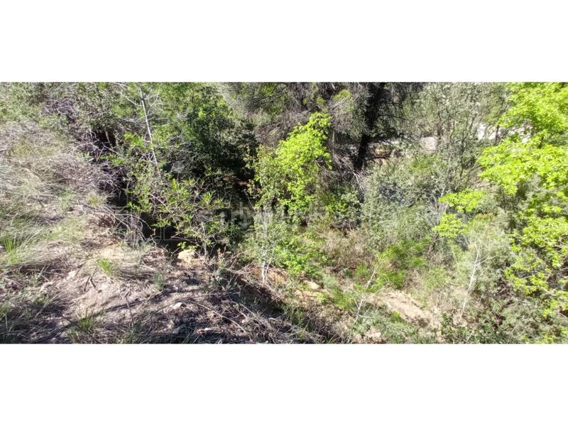 Foto 3bbe70f2-efe1-4670-9a66-ca5656d50eee. Terrain résidentiel dans Castellbell i el Vilar