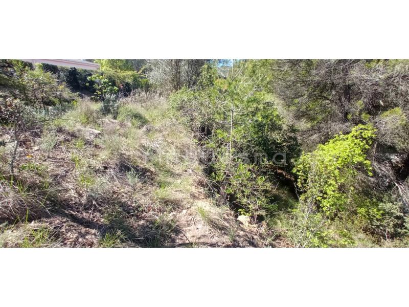 Foto 7a782a9e-75d7-4d16-9914-e64190a78465. Terrain résidentiel dans Castellbell i el Vilar
