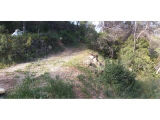 Finca rústica a Vacarisses. Venta de terreno en vacarisses