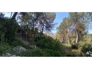 Fondo rustico in Vacarisses. Venta de terreno en vacarisses