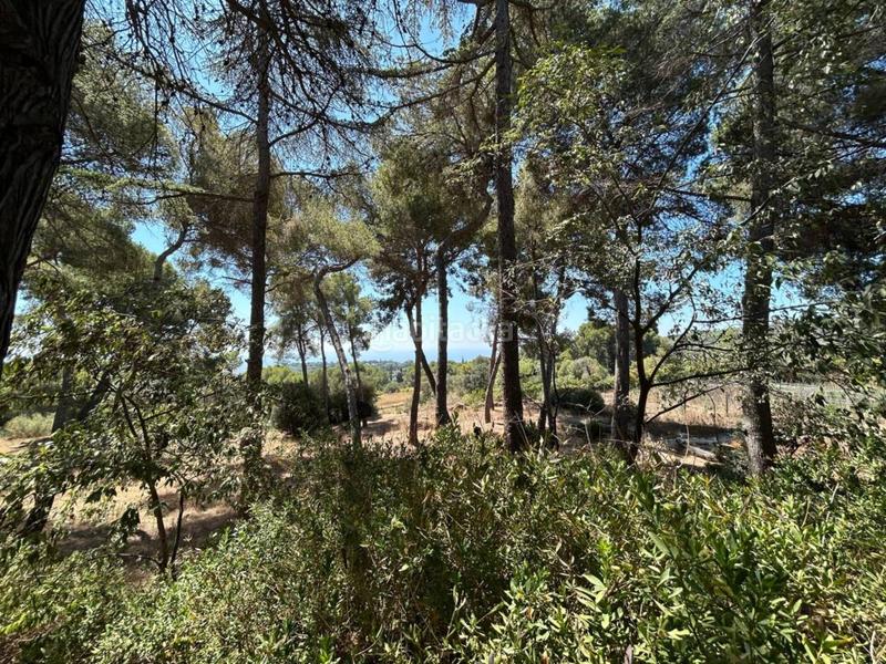 Foto 01e6fb16-17c8-4d1a-aca5-144f1b42b42e. Chalet masía de lujo en Cabrera de Mar