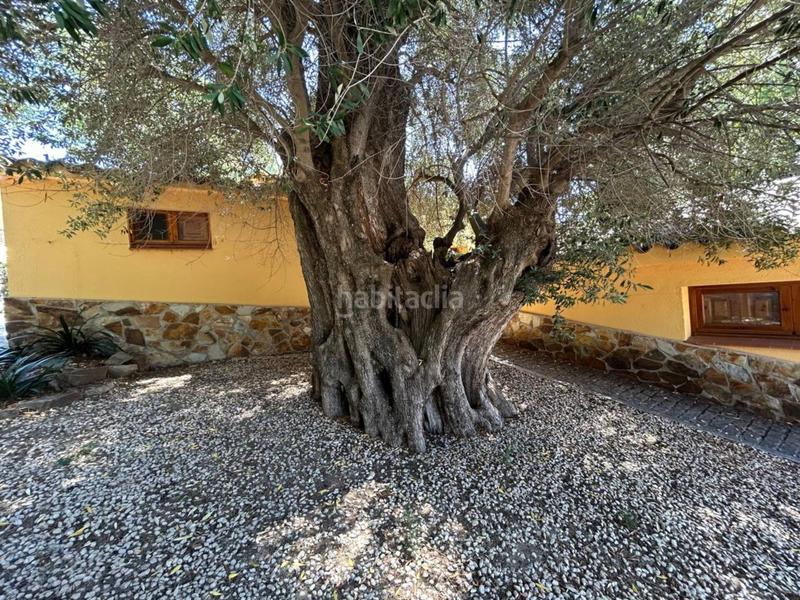 Foto a39f23fa-f05a-4442-8dc1-c2824d6f31da. Chalet masía de lujo en Cabrera de Mar