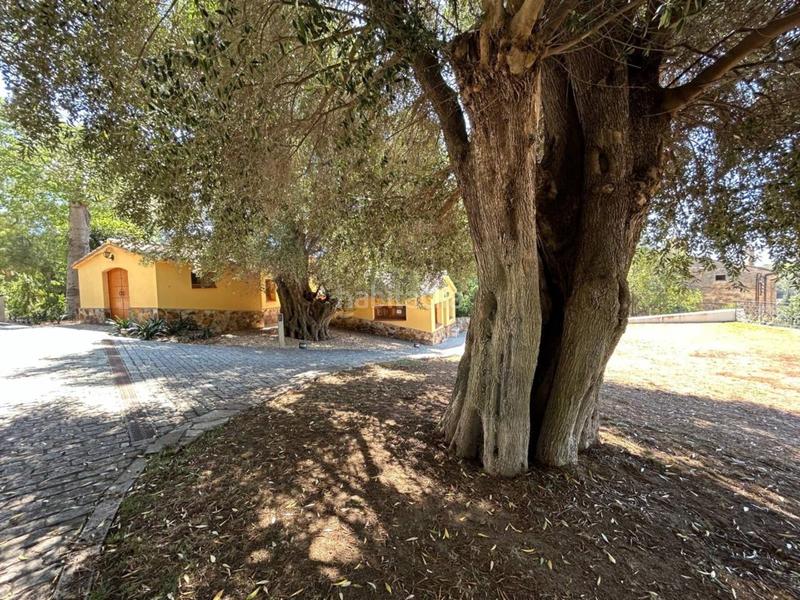 Foto aeaf68dd-3230-483a-8102-cc860ac5afbf. Chalet masía de lujo en Cabrera de Mar