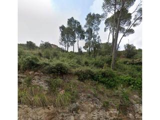 Finca rústica  Moreneta. Venta de terreno en vallirana