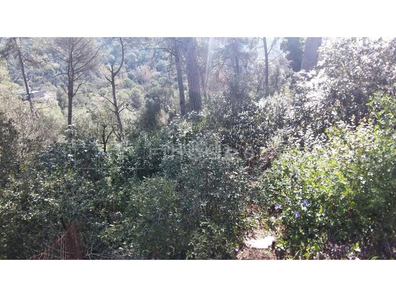 Foto 19bf7f54-224a-4fa6-8058-347f57f4a1f6. Terreno residencial terreno en venta en Vacarisses