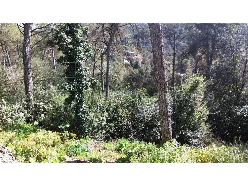 Foto 8604d639-7e43-437b-b255-695e141b8bb3. Terreno residencial terreno en venta en Vacarisses